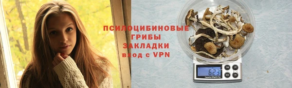 таблы Богородицк